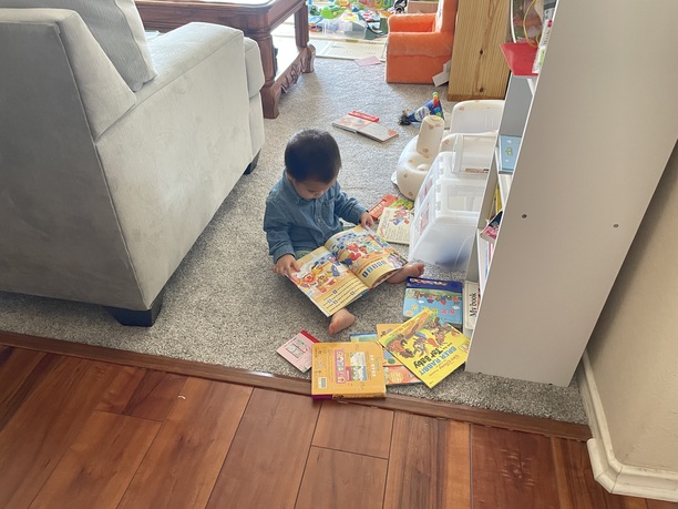 quite interested in books